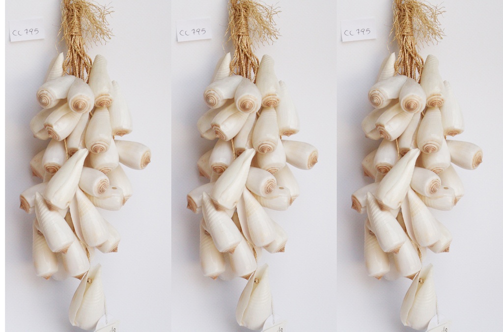 GROZD OD ŠKOLJKI  cm 27 