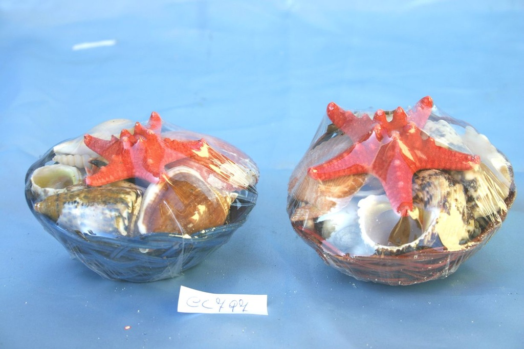 KOŠARA SA ŠKOLJKAMA DIAM CM 10 