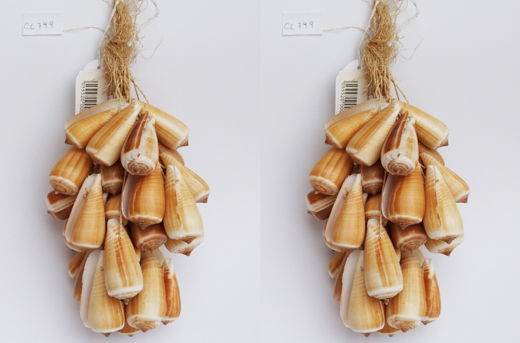 GROZD OD ŠKOLJKI CM 40 