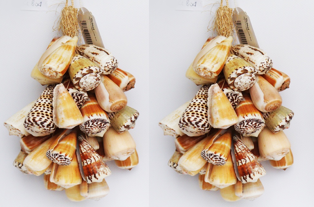 GROZD OD ŠKOLJKI CM 44 