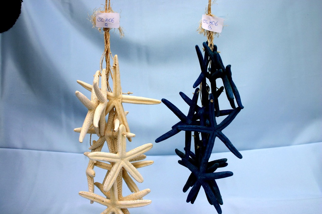 ZVIJEZDE NA ŠPAGI PLAVE CM 36 