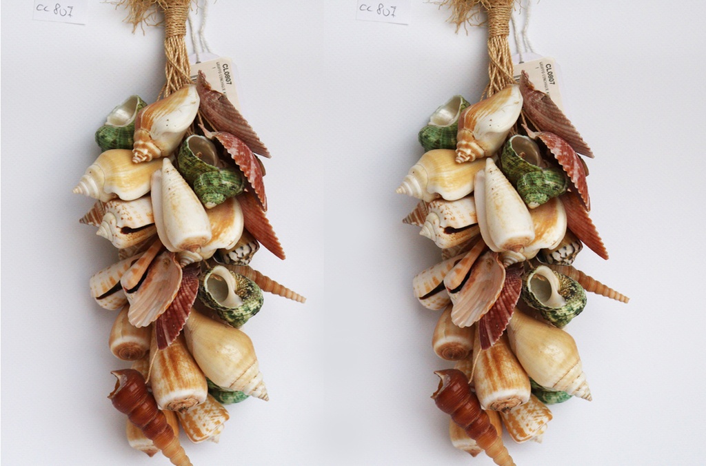 GROZD OD ŠKOLJKI CM 33 