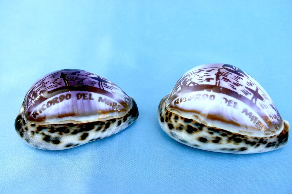 CY TIGRIS INCISA "UN RICORDO DAL MARE" 