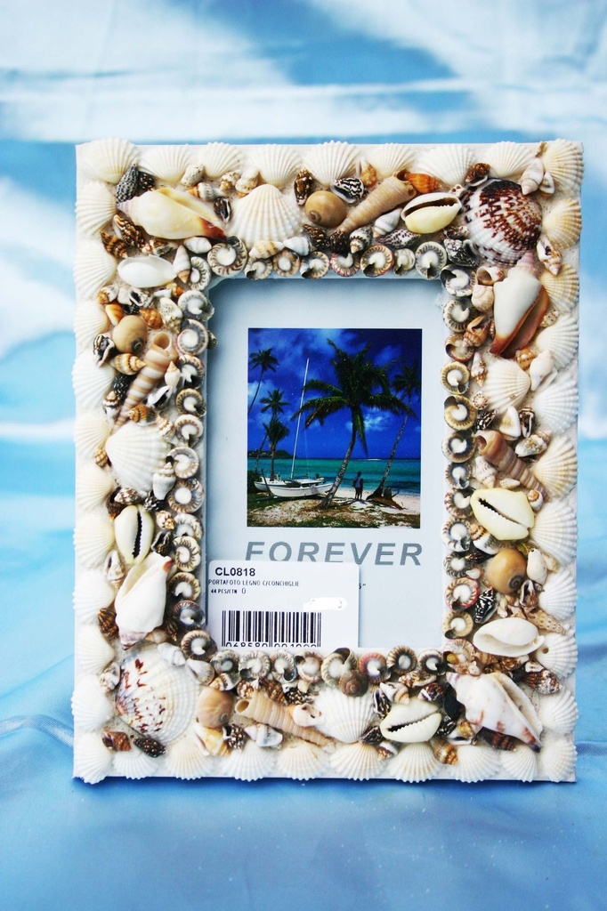 PORTAFOTO C/CONCHIGLIE 19,5X15cm 