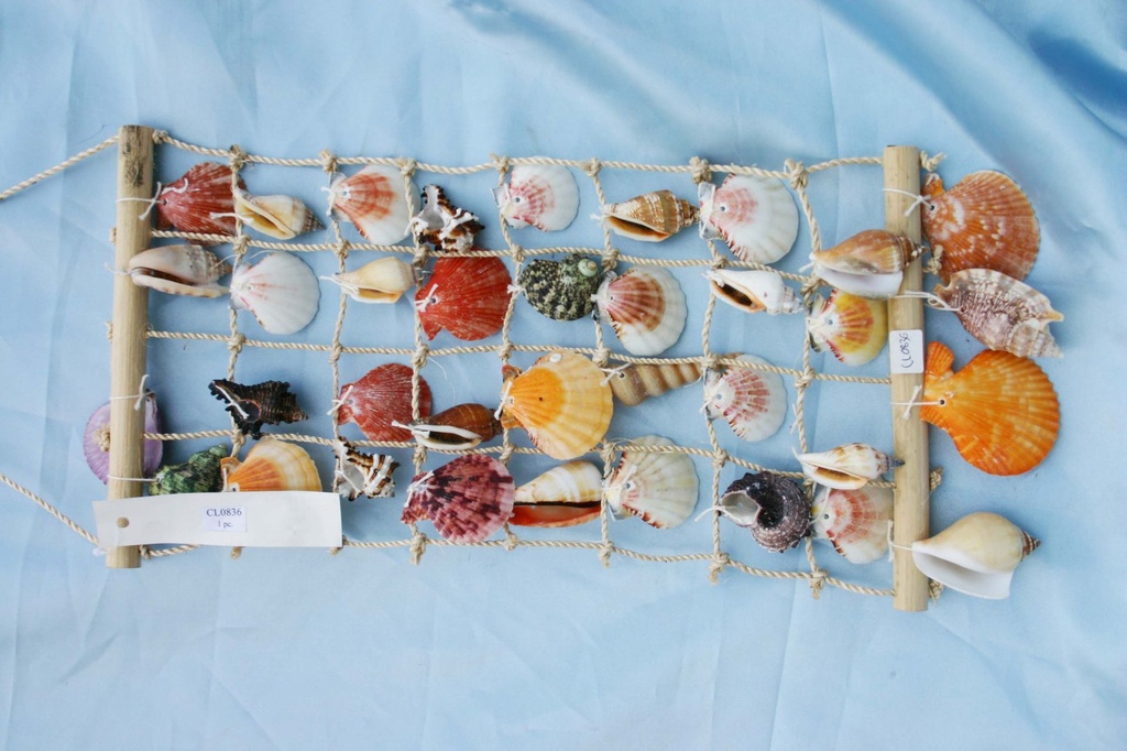 MREŽA SA ŠKOLJKAMA 45x20cm 