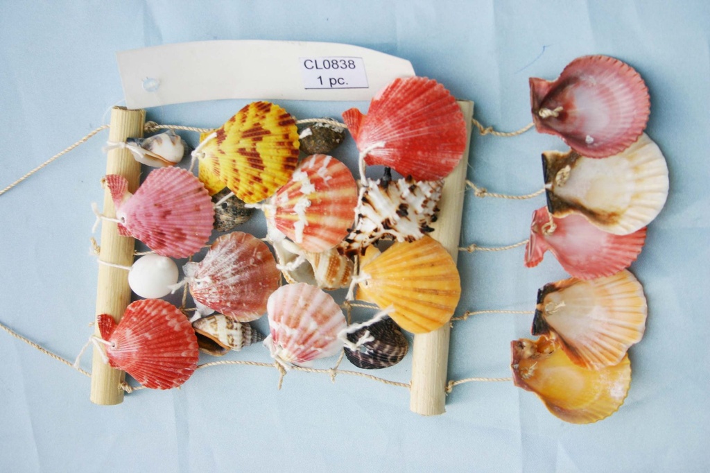 RETE c/CONCHIGLIE 21x14cm 