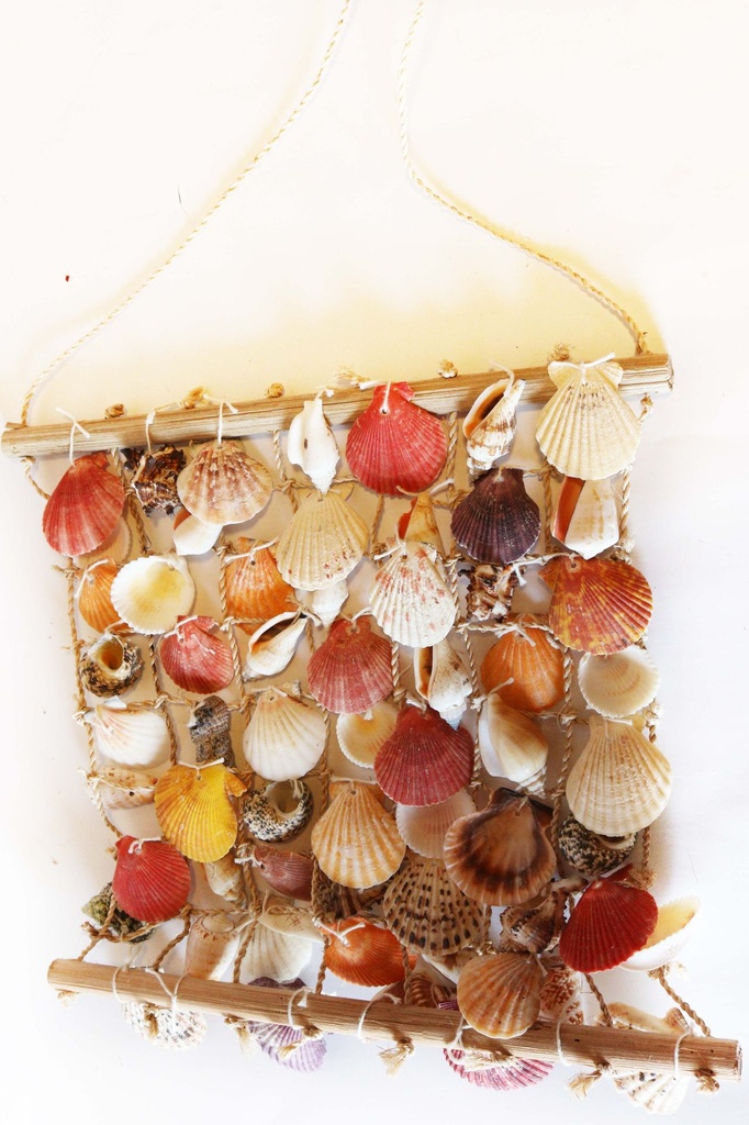 MREŽA SA ŠKOLJKAMA 47x34cm 