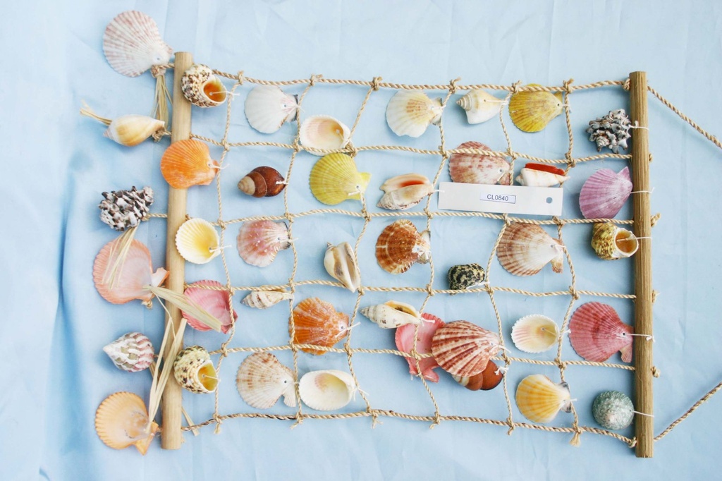 MREŽA SA ŠKOLJKAMA 48x36cm 