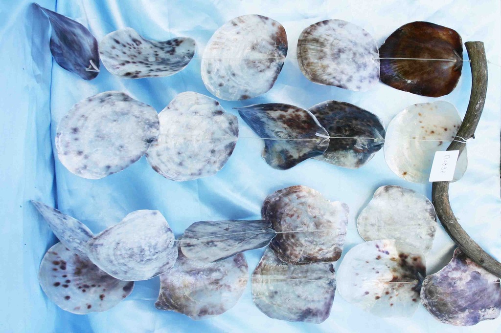 ZVECKALICA SA ŠKOLJKAMA 40x60 