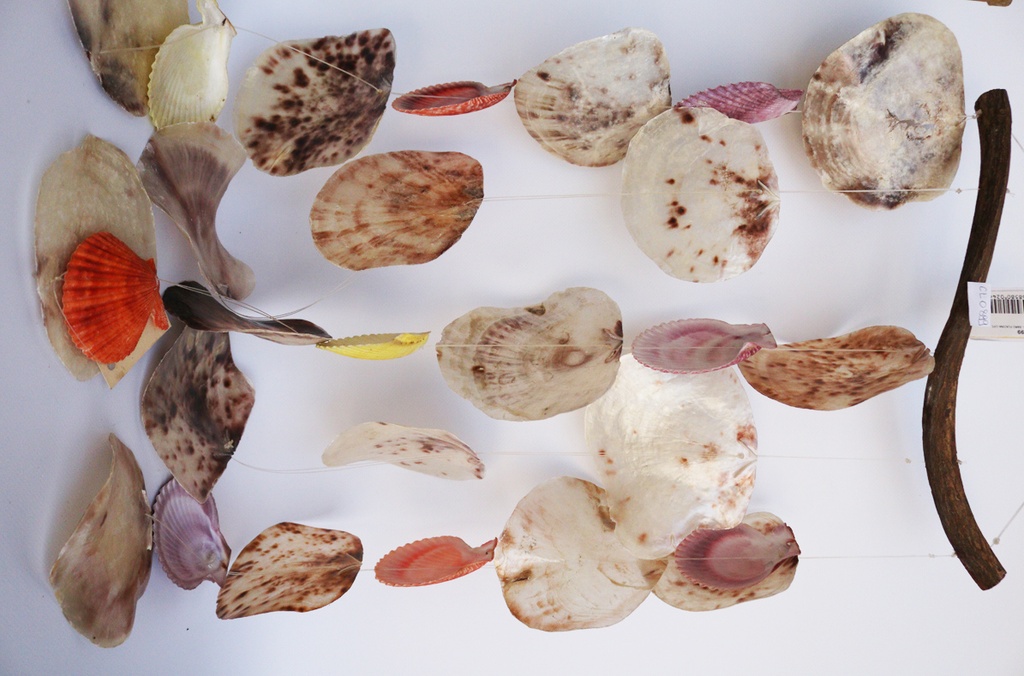 SCACCIAPENS. RAMO PLACUNA C/PECTEN NOBILIS 40x60 