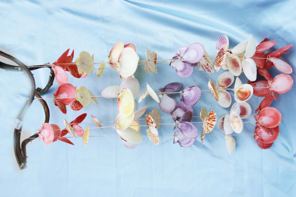 ZVECKALICA SA ŠKOLJKAMA