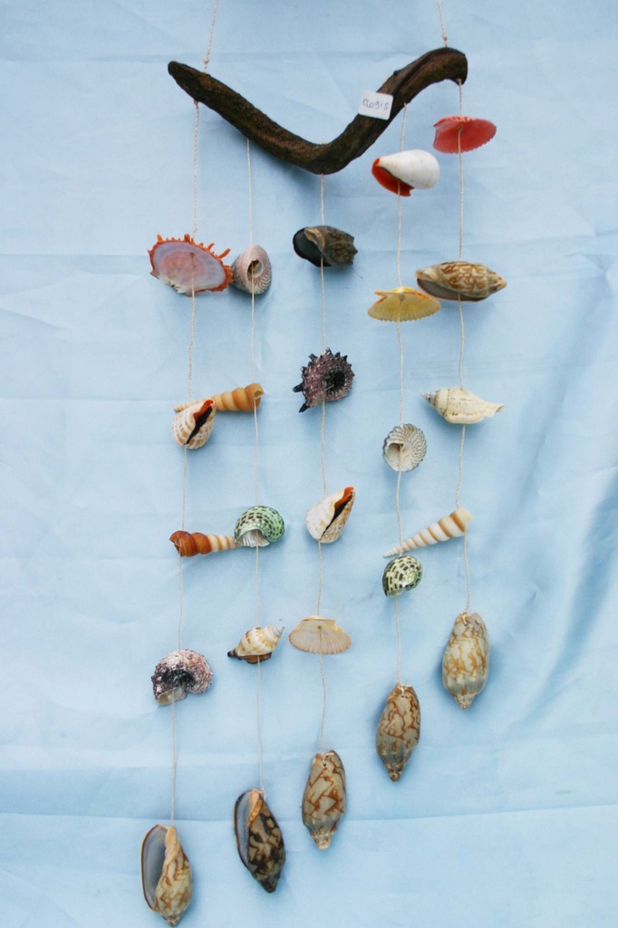 ZVECKALICA SA ŠKOLJKAMA H.55 