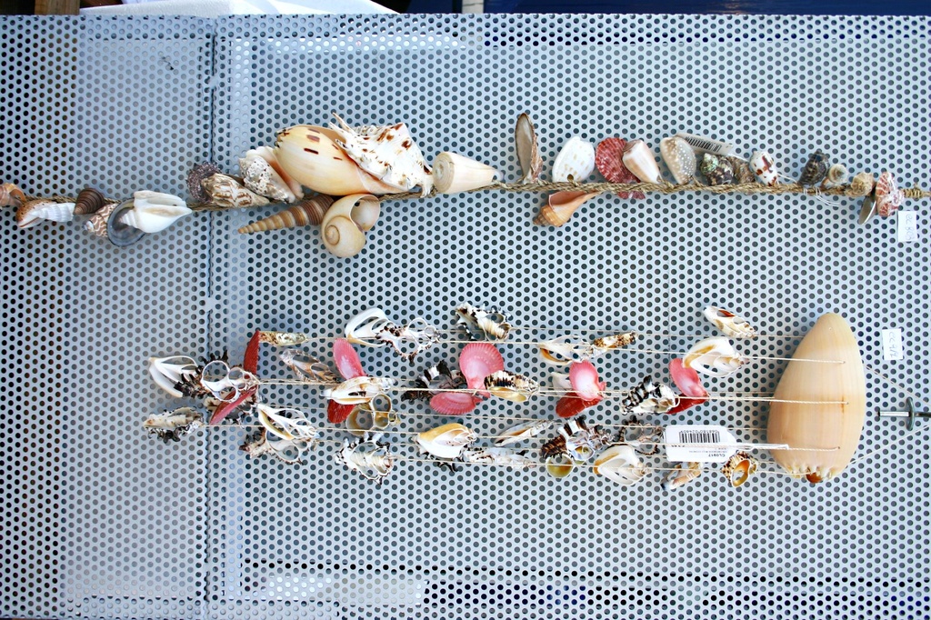 ZVECKALICA SA ŠKOLJKAMA