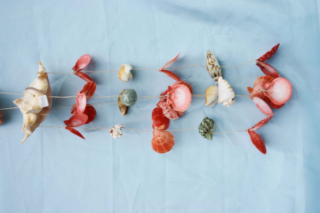 ZVECKALICA SA ŠKOLJKAMA H.45 