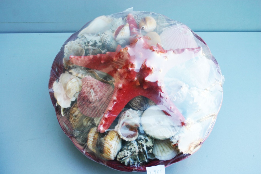 KOŠARA U BOJI SA ŠKOLJKAMA  CM30 