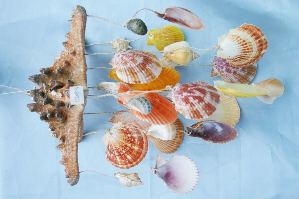 ZVECKALICA SA ŠKOLJKAMA 