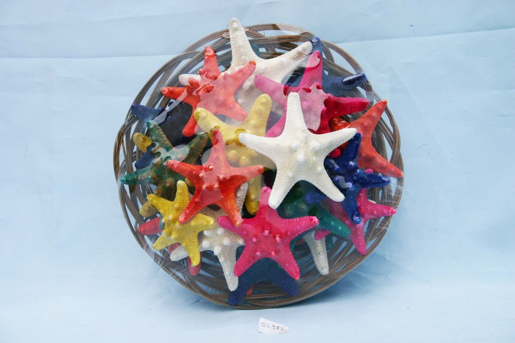 KOŠARA SA ZVIJEZDAMA CM 10 