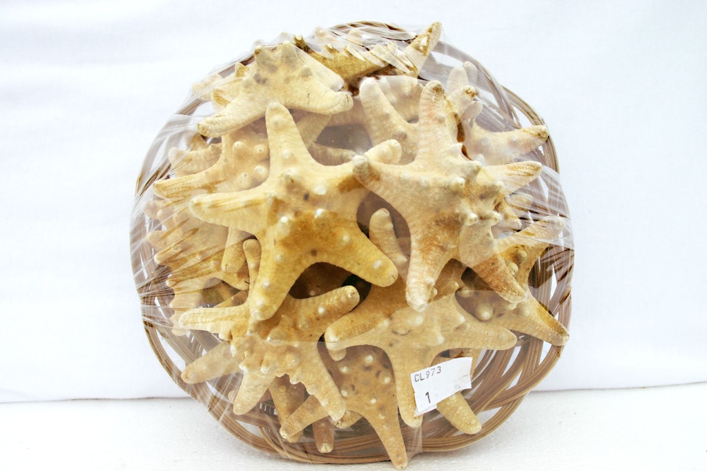 KOŠARA SA ZVIJEZDAMA DIAM CM 7 