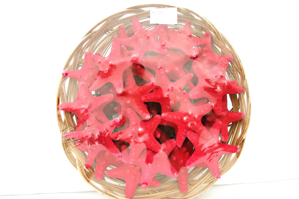 KOŠARA SA ZVIJEZDAMA DIAM CM 7 