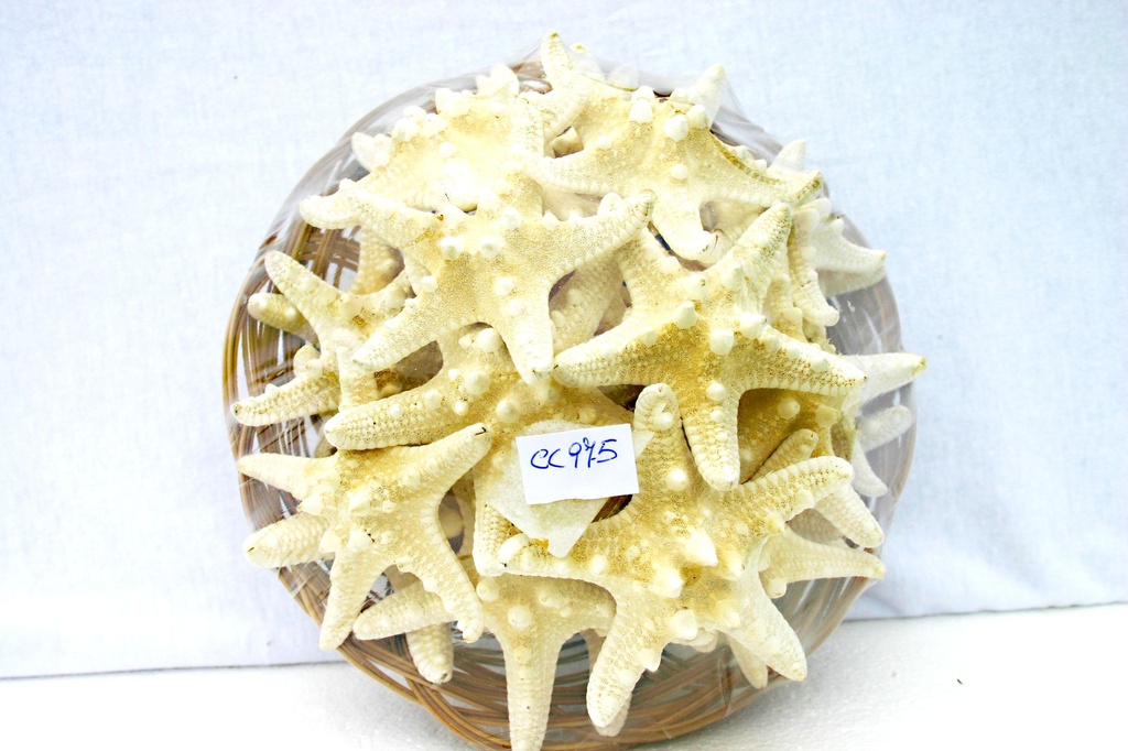 KOŠARA SA ZVIJEZDAMA DIAM CM 7 