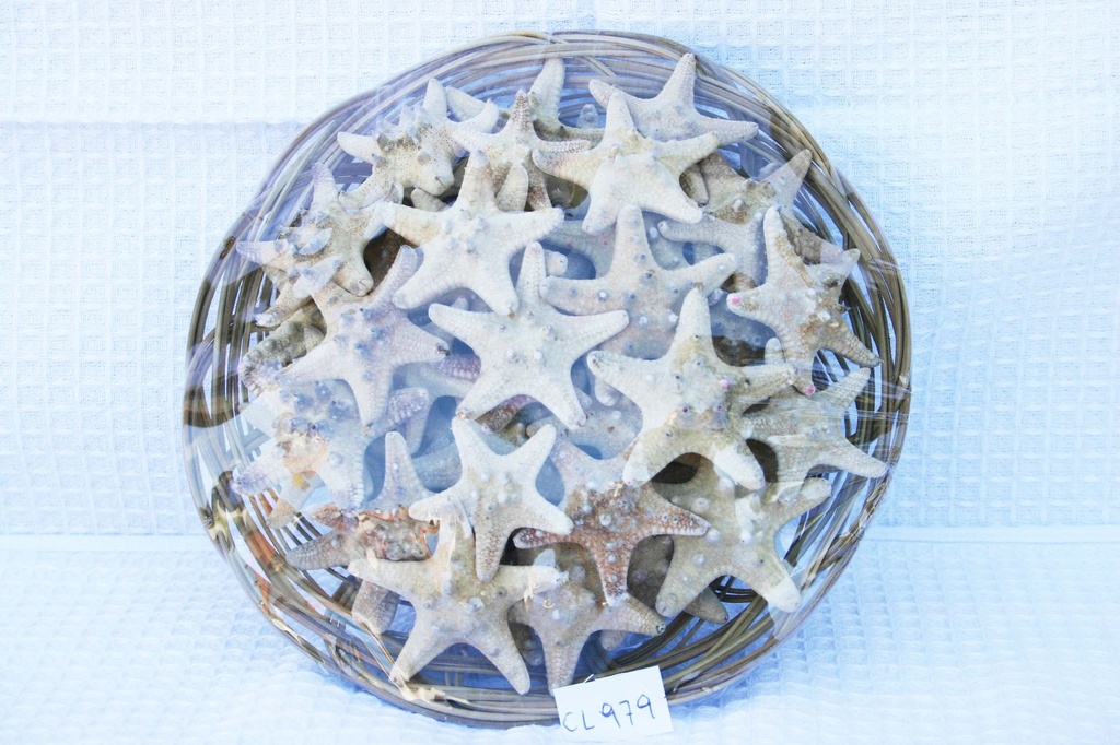 KOŠARA SA ZVIJEZDAMA CM 2.5 