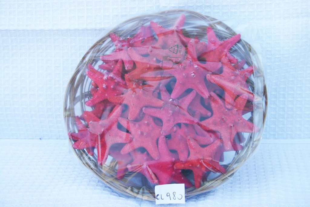 KOŠARA SA ZVIJEZDAMA CM 2.5 