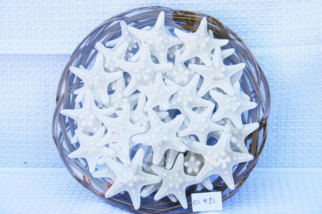 KOŠARA SA ZVIJEZDAMA CM 2.5 