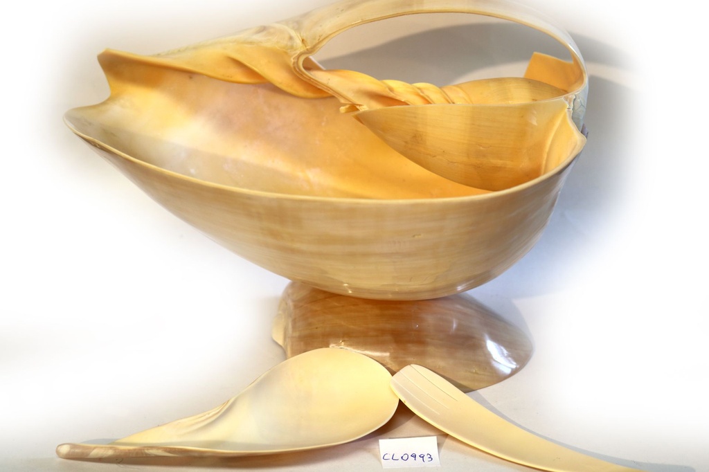 ZDJELA ZA VOĆE OD ŠKOLJKE