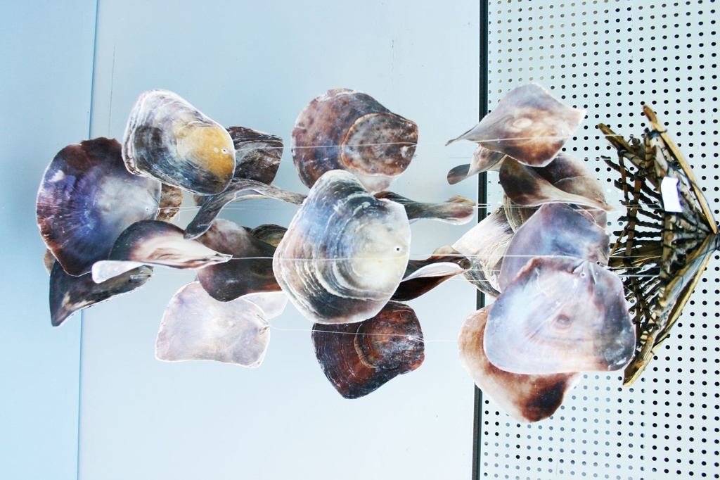 ZVECKALICA SA ŠKOLJKAMA CM 70 