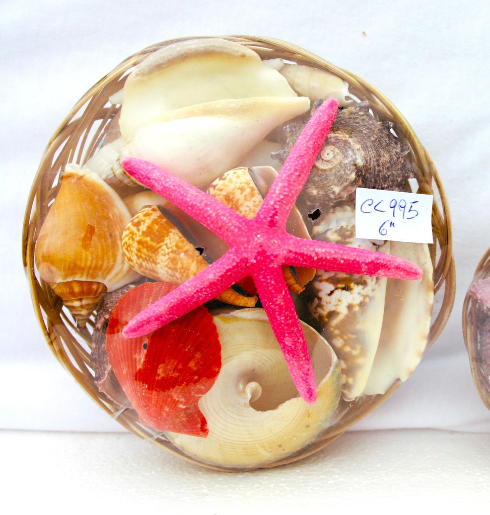 KOŠARA SA ŠKOLJKAMA CM 15 