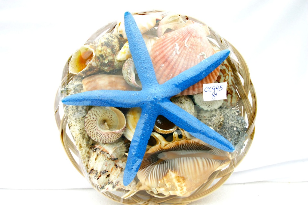 KOŠARA SA ŠKOLJKAMA CM20 