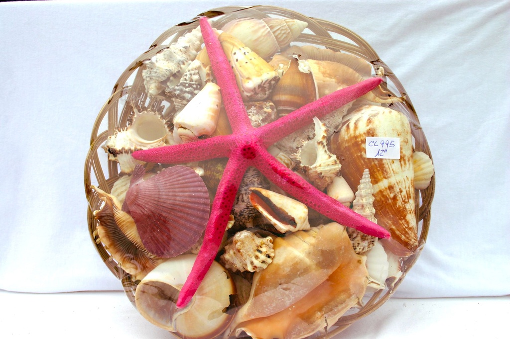 KOŠARA SA ŠKOLJKAMA CM30 