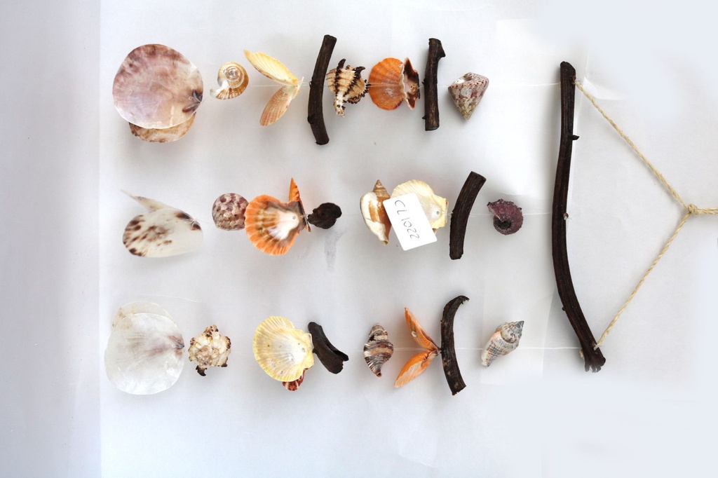 ZVECKALICA SA ŠKOLJKAMA CM 48*22 