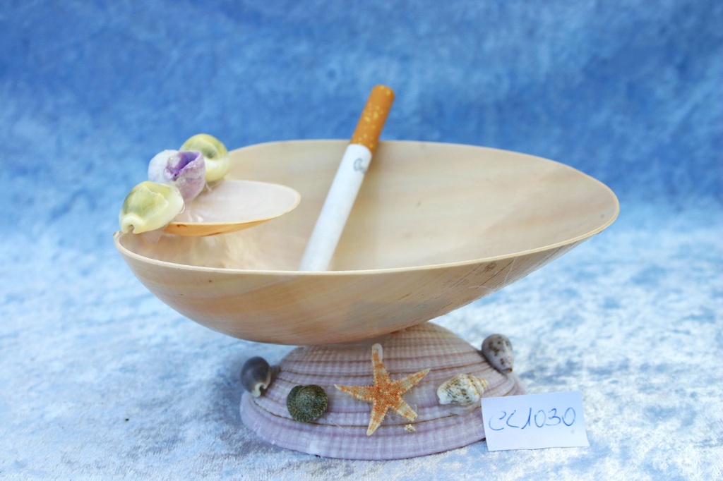 PEPELJARA OD ŠKOLJKE CM 15*5.5 