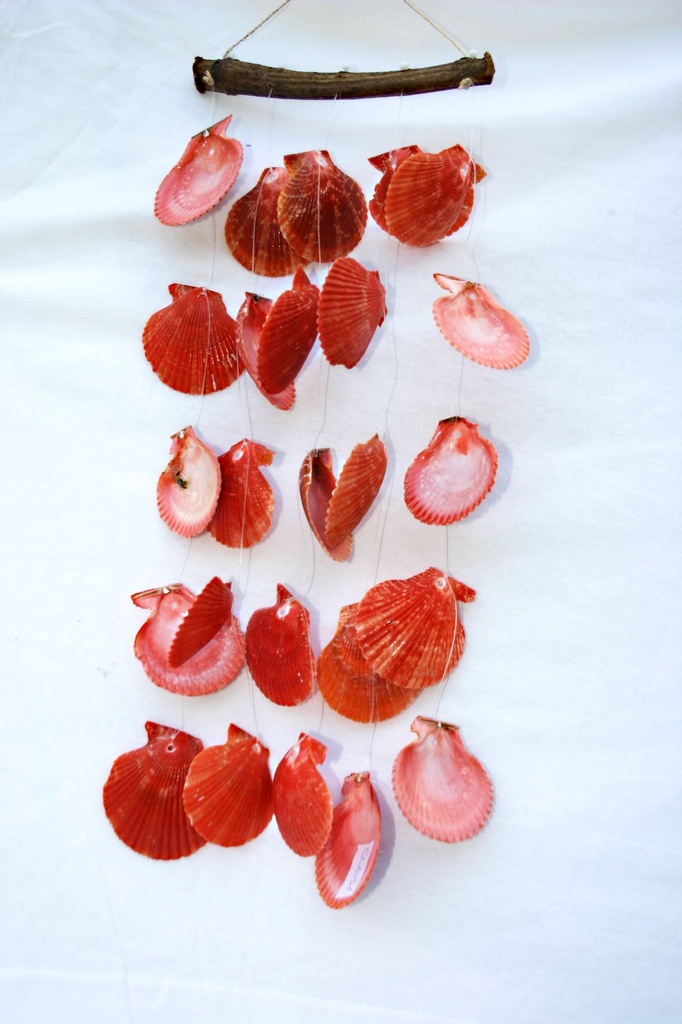 ZVECKALICA SA ŠKOLJKAMA