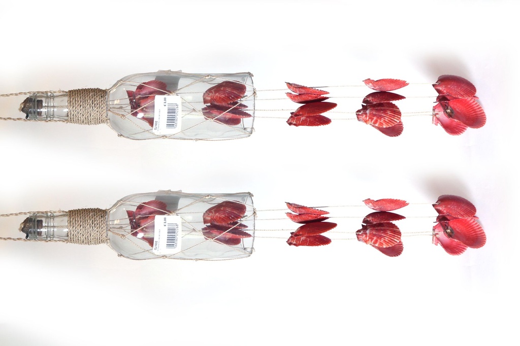 BOTTIGLIA VETRO SCACCIAP CON PECTEN NOBILIS CM 60 