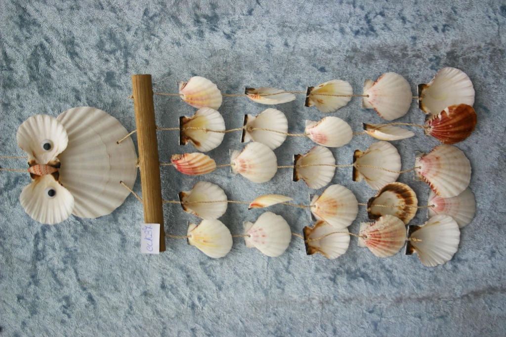 ZVECKALICA SA ŠKOLJKAMA 36*15 