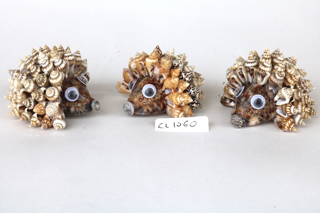 JEŽ OD ŠKOLJKI CM 7 