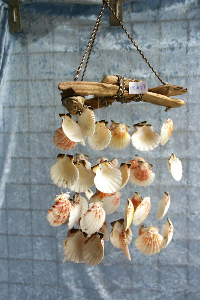 SCACCIAP 3 LEGN A TRIANG MULTIF PECTEN VEX CM 26 