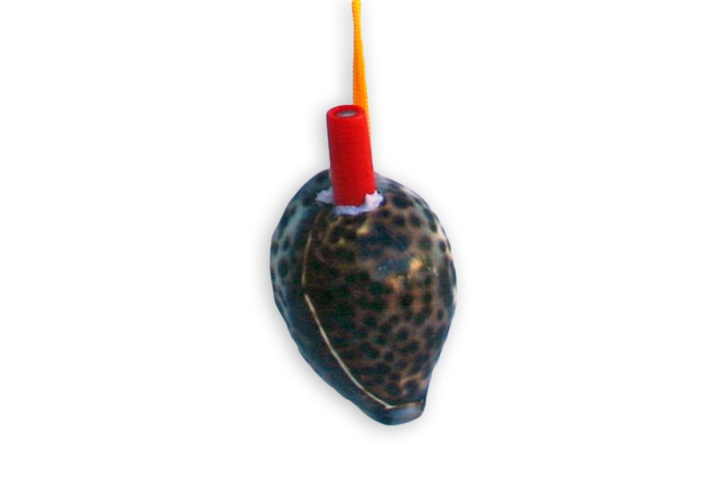 ZVIŽDALJKA OD ŠKOLJKE  