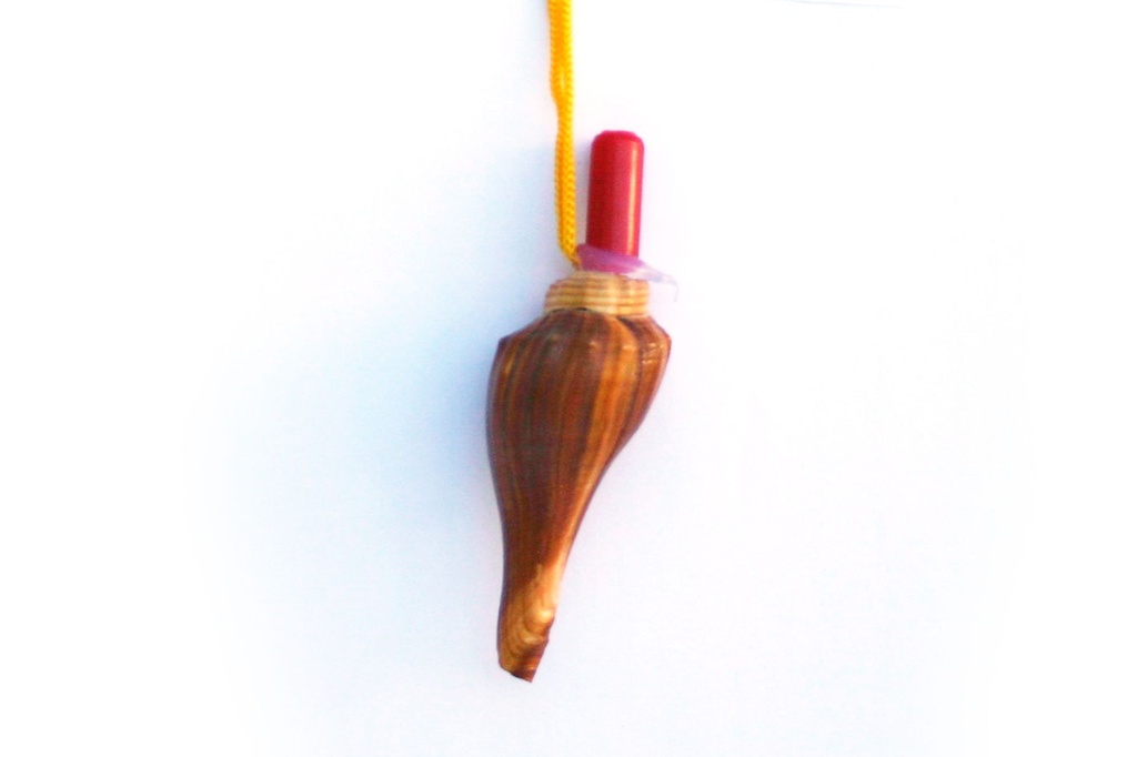 ZVIŽDALJKA OD ŠKOLJKE