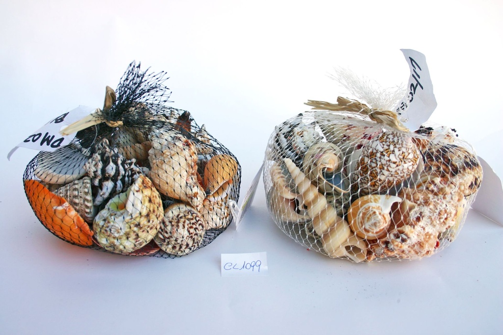 VREĆICA SA ŠKOLJKAMA CM 12 