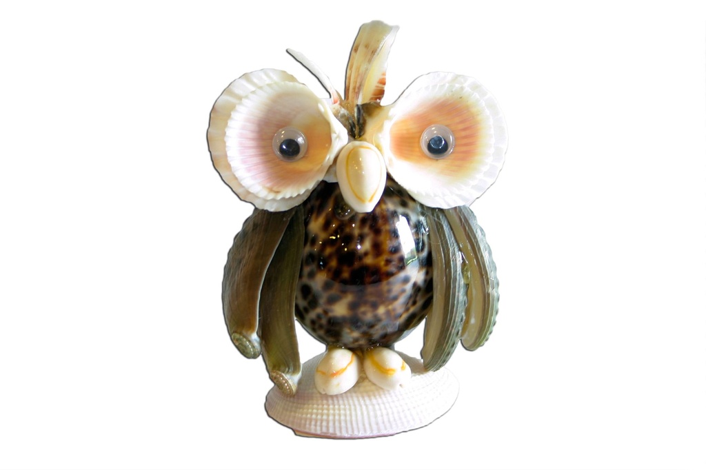 SOVA OD ŠKOLJKI 11*9.5 