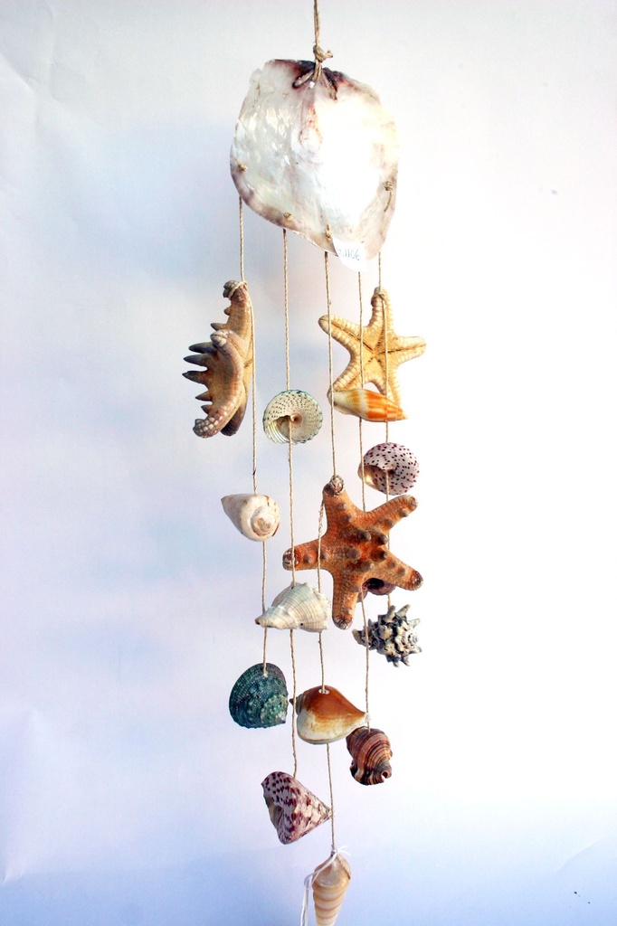 ZVECKALICA SA ŠKOLJKAMA CM48 