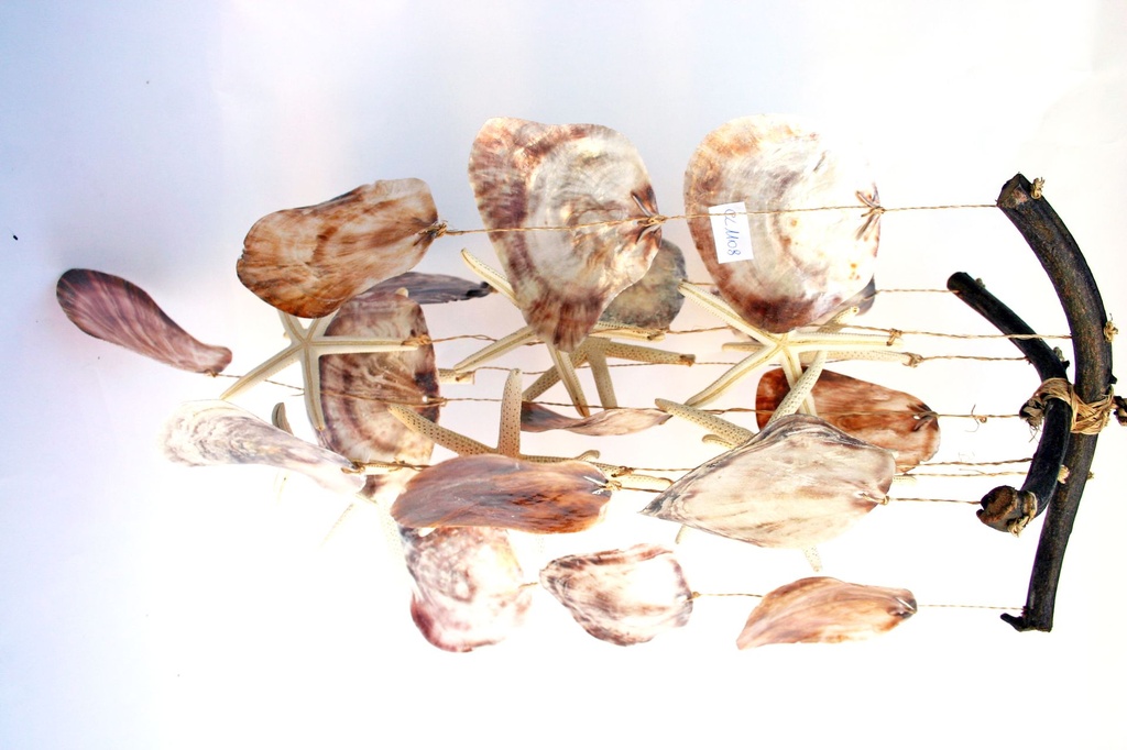 ZVECKALICA SA ŠKOLJKAMA  CM52 