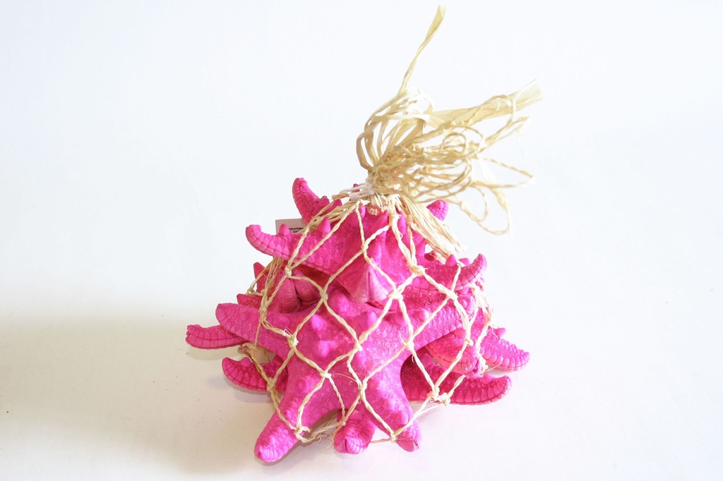 ZVIJEZDE U MREŽI 16*14 