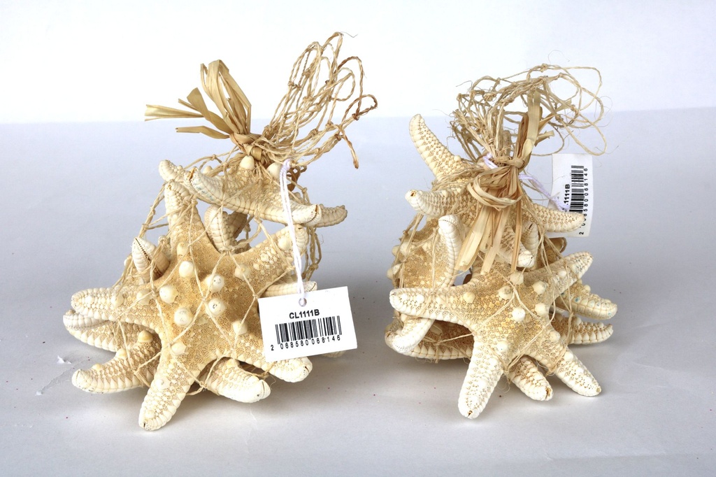 ZVIJEZDE U MREŽI  16*14 