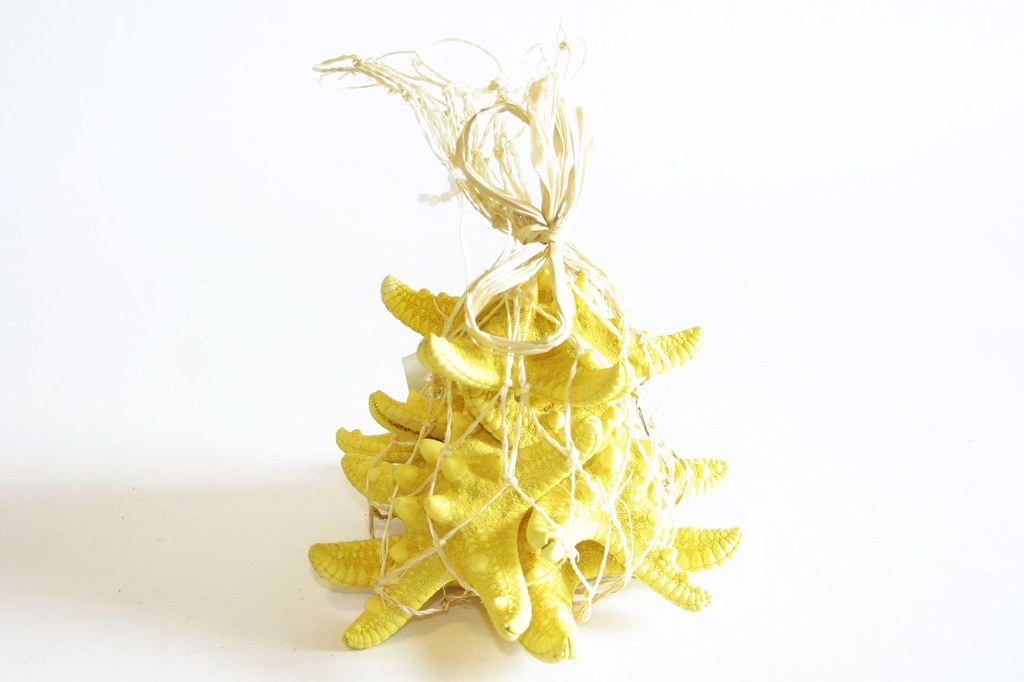 ZVIJEZDE U MREŽI  16*14 