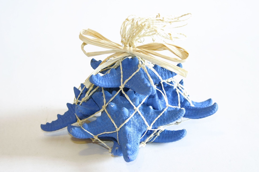 ZVIJEZDE U MREŽI  16*14 