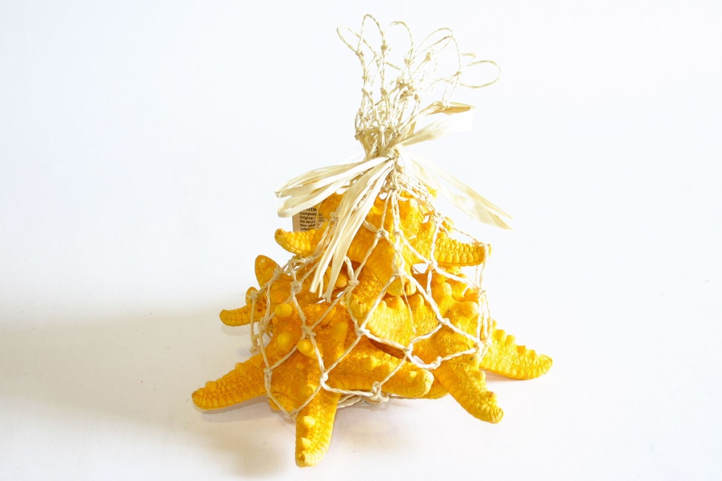 ZVIJEZDE U MREŽI  16*14 